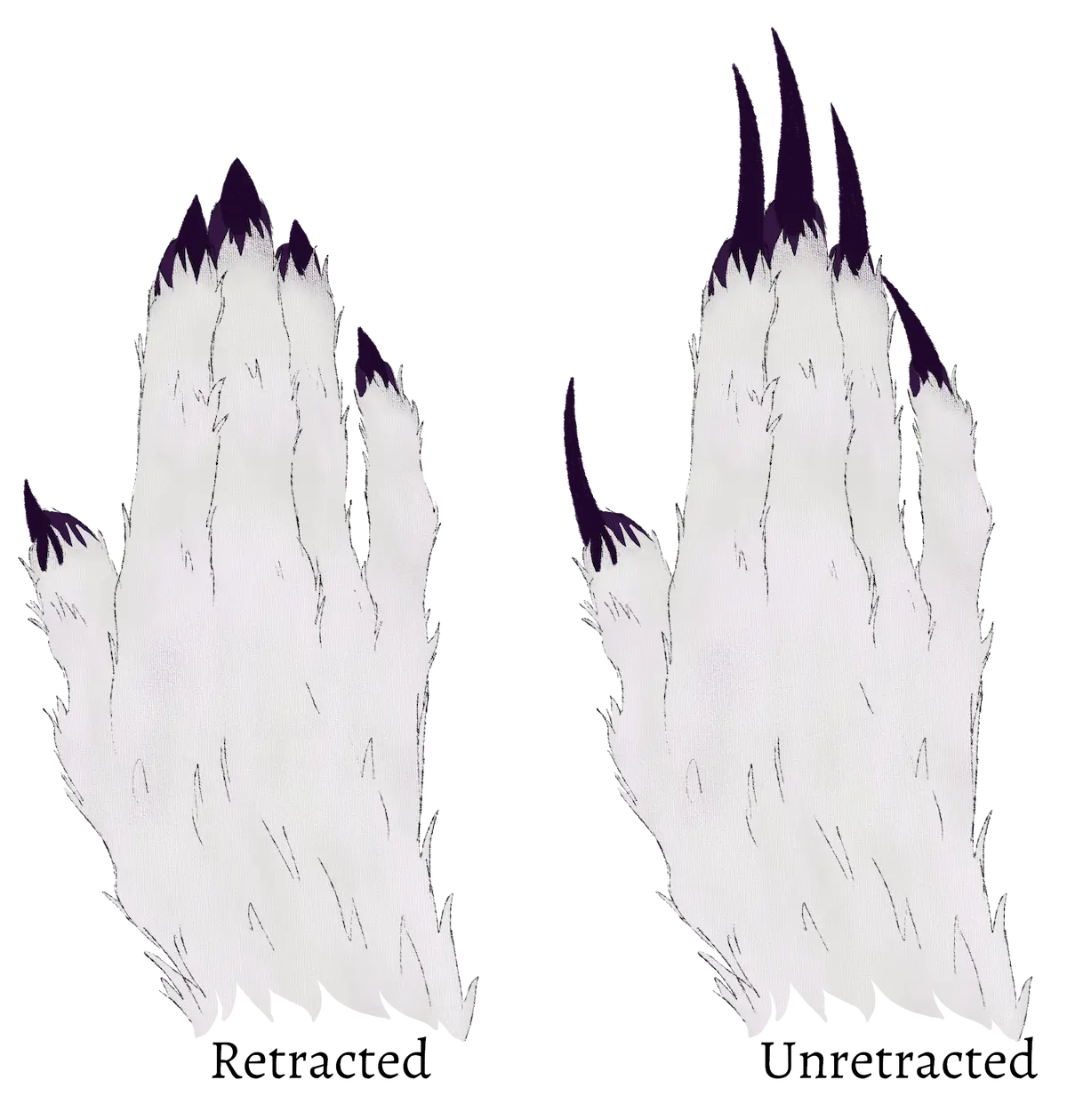 A diagram of unicorns' retractable claws.